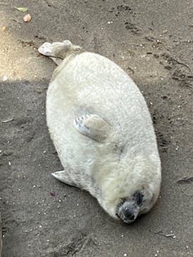 伊豆・三津シーパラダイスに投稿された画像（2023/4/8）