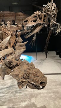 特別展「恐竜博2023」に投稿された画像（2023/4/8）