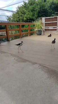 神戸どうぶつ王国に投稿された画像（2023/4/8）