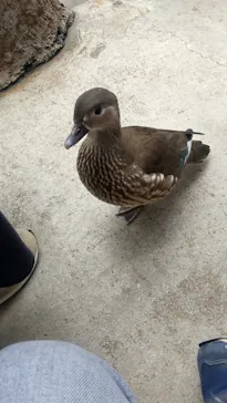 神戸どうぶつ王国に投稿された画像（2023/4/8）