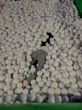 東京あそびマーレに投稿された画像（2023/4/8）