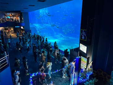 沖縄美ら海水族館に投稿された画像（2023/4/8）