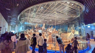 国立科学博物館に投稿された画像（2023/4/8）