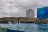 名古屋港水族館に投稿された画像（2023/4/8）