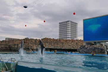 名古屋港水族館に投稿された画像（2023/4/8）