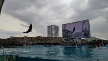 名古屋港水族館に投稿された画像（2023/4/8）