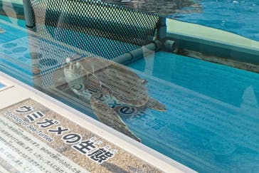 名古屋港水族館に投稿された画像（2023/4/8）