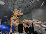 特別展「恐竜博2023」に投稿された画像（2023/4/8）