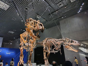 特別展「恐竜博2023」に投稿された画像（2023/4/8）