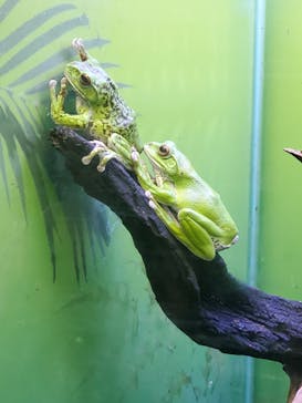 サンシャイン水族館に投稿された画像（2023/4/8）