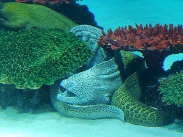 サンシャイン水族館に投稿された画像（2023/4/8）