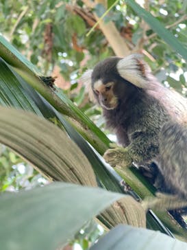 神戸どうぶつ王国に投稿された画像（2023/4/8）