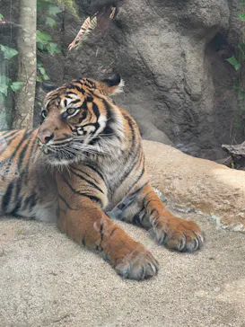 神戸どうぶつ王国に投稿された画像（2023/4/8）