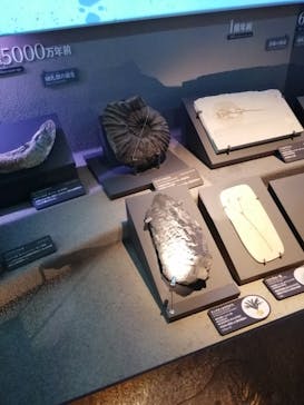 国立科学博物館に投稿された画像（2023/4/8）