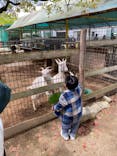 しろとり動物園に投稿された画像（2023/4/8）