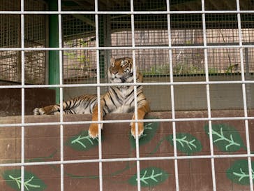 しろとり動物園に投稿された画像（2023/4/8）
