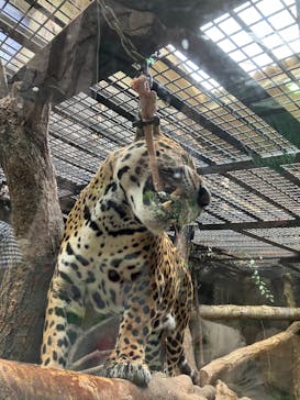 那須どうぶつ王国に投稿された画像（2023/4/8）