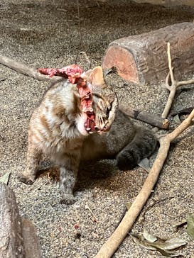 那須どうぶつ王国に投稿された画像（2023/4/8）