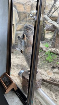 那須どうぶつ王国に投稿された画像（2023/4/8）