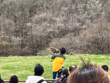 那須どうぶつ王国に投稿された画像（2023/4/8）