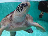 仙台うみの杜水族館に投稿された画像（2023/4/8）