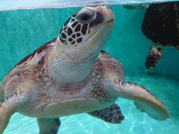 仙台うみの杜水族館に投稿された画像（2023/4/8）