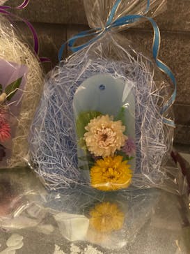 ずこうしつ〜sugamo〜に投稿された画像（2023/4/8）