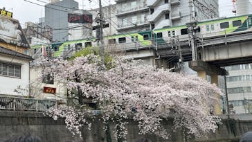 東京ウォータウェイズに投稿された画像（2023/4/8）