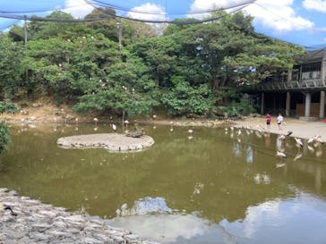 ネオパークオキナワに投稿された画像（2023/4/8）