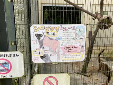 ネオパークオキナワに投稿された画像（2023/4/8）