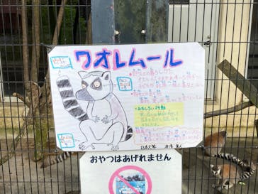 ネオパークオキナワに投稿された画像（2023/4/8）