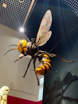 特別展「毒」に投稿された画像（2023/4/8）