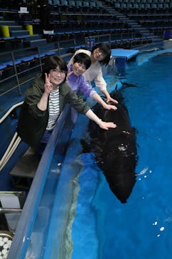 マクセル アクアパーク品川に投稿された画像（2023/4/8）