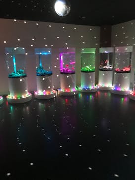 NARA KINGYO MUSEUMに投稿された画像（2023/4/8）