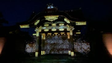 『NAKED FLOWERS 2023 桜 世界遺産・二条城』に投稿された画像（2023/4/8）