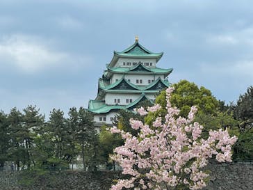 名古屋城に投稿された画像（2023/4/8）