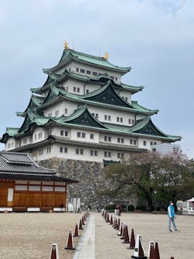 名古屋城に投稿された画像（2023/4/8）