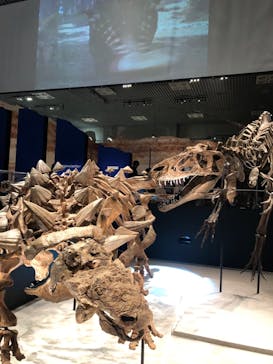 特別展「恐竜博2023」に投稿された画像（2023/4/8）