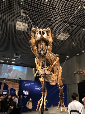 特別展「恐竜博2023」に投稿された画像（2023/4/8）
