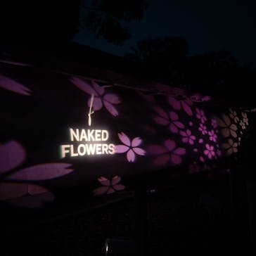 『NAKED FLOWERS 2023 桜 世界遺産・二条城』に投稿された画像（2023/4/8）