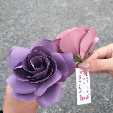 『NAKED FLOWERS 2023 桜 世界遺産・二条城』に投稿された画像（2023/4/8）