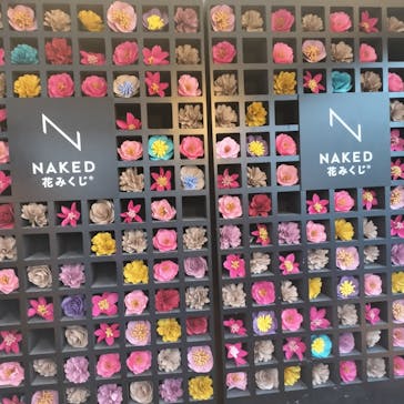 『NAKED FLOWERS 2023 桜 世界遺産・二条城』に投稿された画像（2023/4/8）