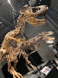 特別展「恐竜博2023」に投稿された画像（2023/4/8）