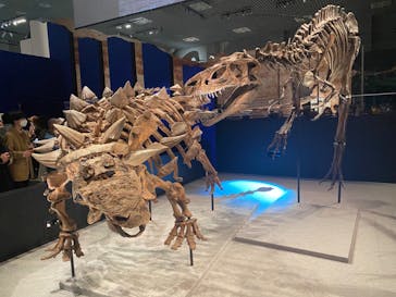 特別展「恐竜博2023」に投稿された画像（2023/4/8）
