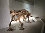特別展「恐竜博2023」に投稿された画像（2023/4/8）