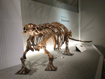 特別展「恐竜博2023」に投稿された画像（2023/4/8）