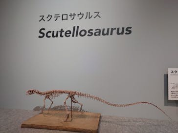 特別展「恐竜博2023」に投稿された画像（2023/4/8）