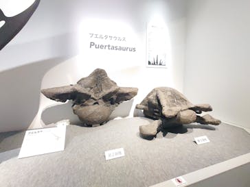 特別展「恐竜博2023」に投稿された画像（2023/4/8）