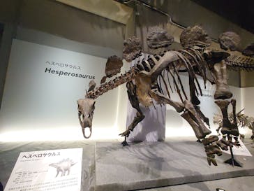 特別展「恐竜博2023」に投稿された画像（2023/4/8）