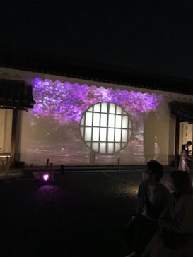 『NAKED FLOWERS 2023 桜 世界遺産・二条城』に投稿された画像（2023/4/8）